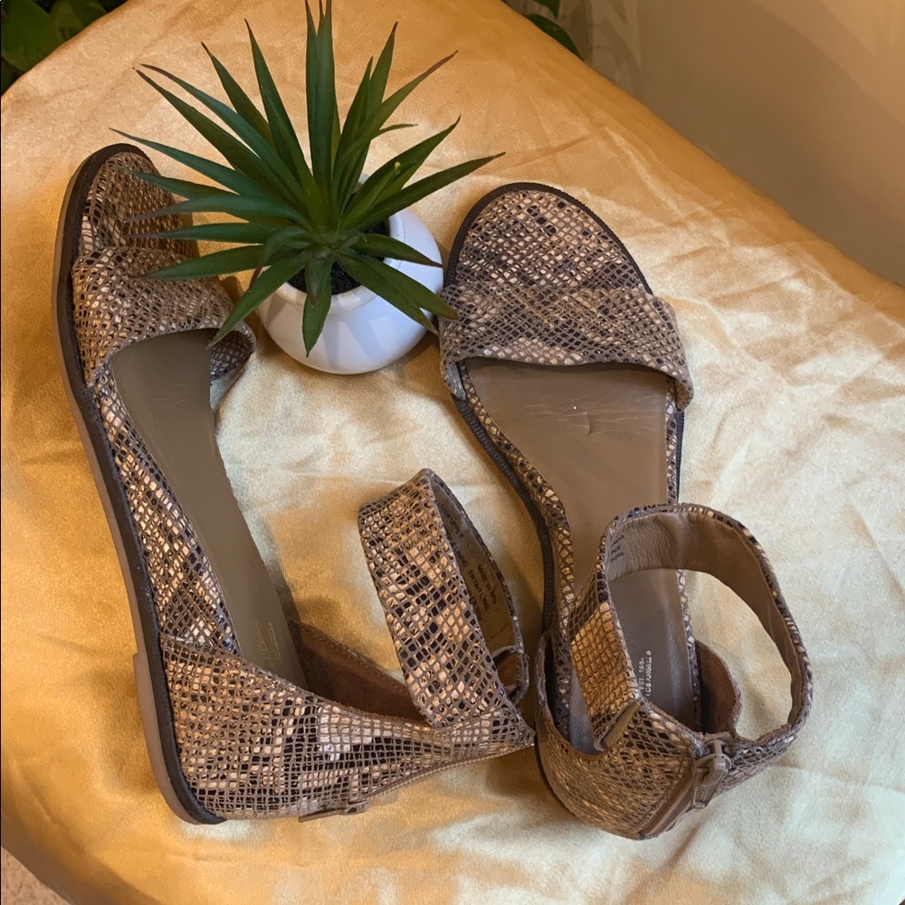 🌹Seychelles • Taupe Snake-Print Ankle Strap Sandals - Picture 2 of 11